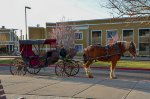 Horse drawn Carriage at Williams Station